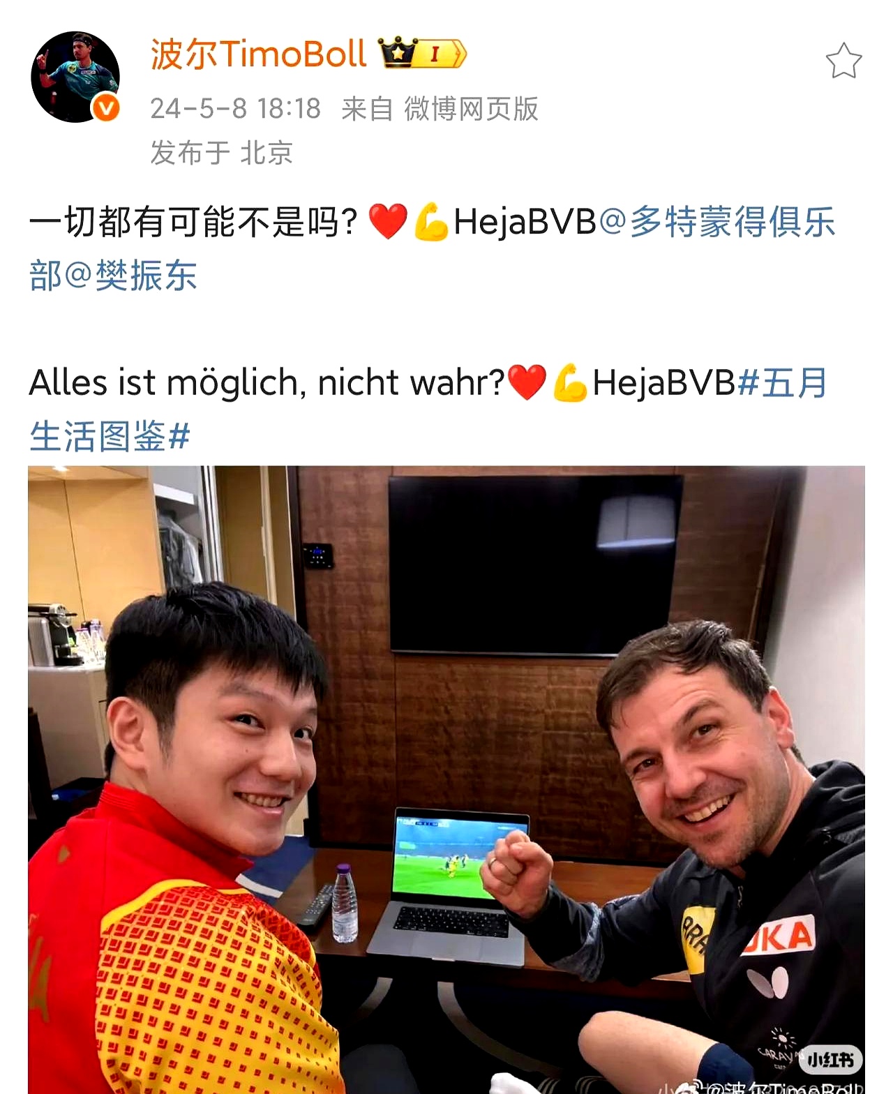 日本乒乓球队逆转德国乒乓球队，波尔完成帽子戏法的简单介绍