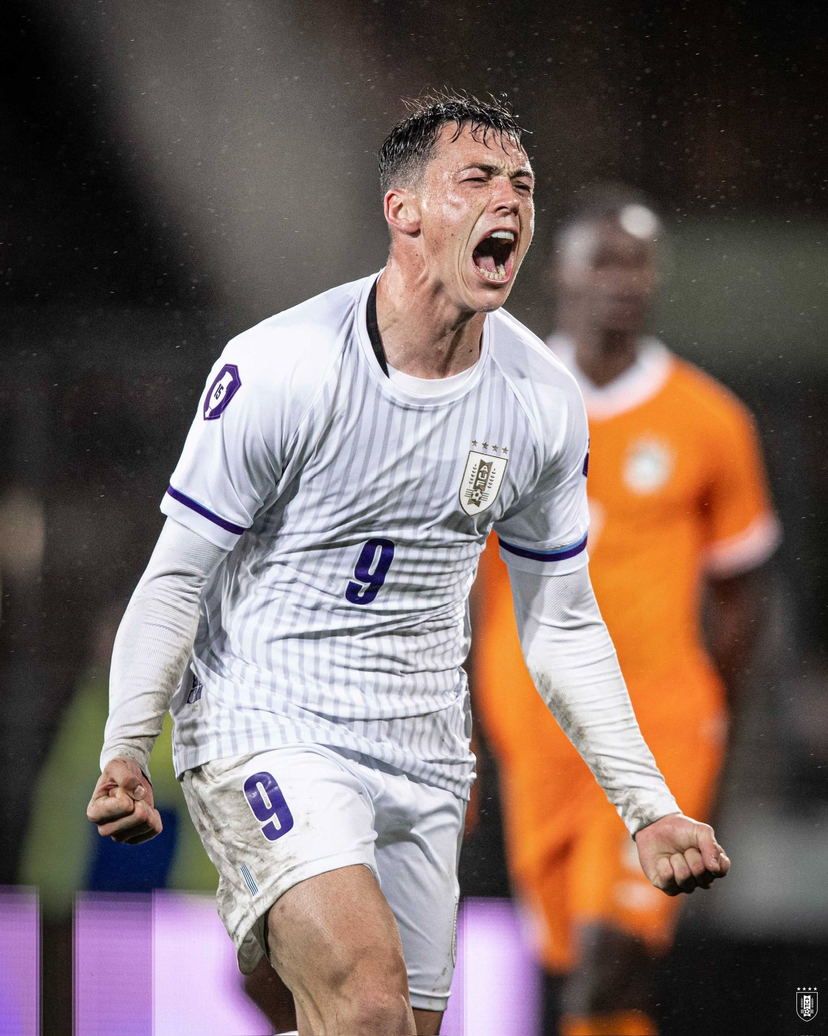 关于乌迪内斯主场小胜,展现出坚韧的实力的信息 关于乌迪内斯主场小胜,展现出坚韧的实力的信息