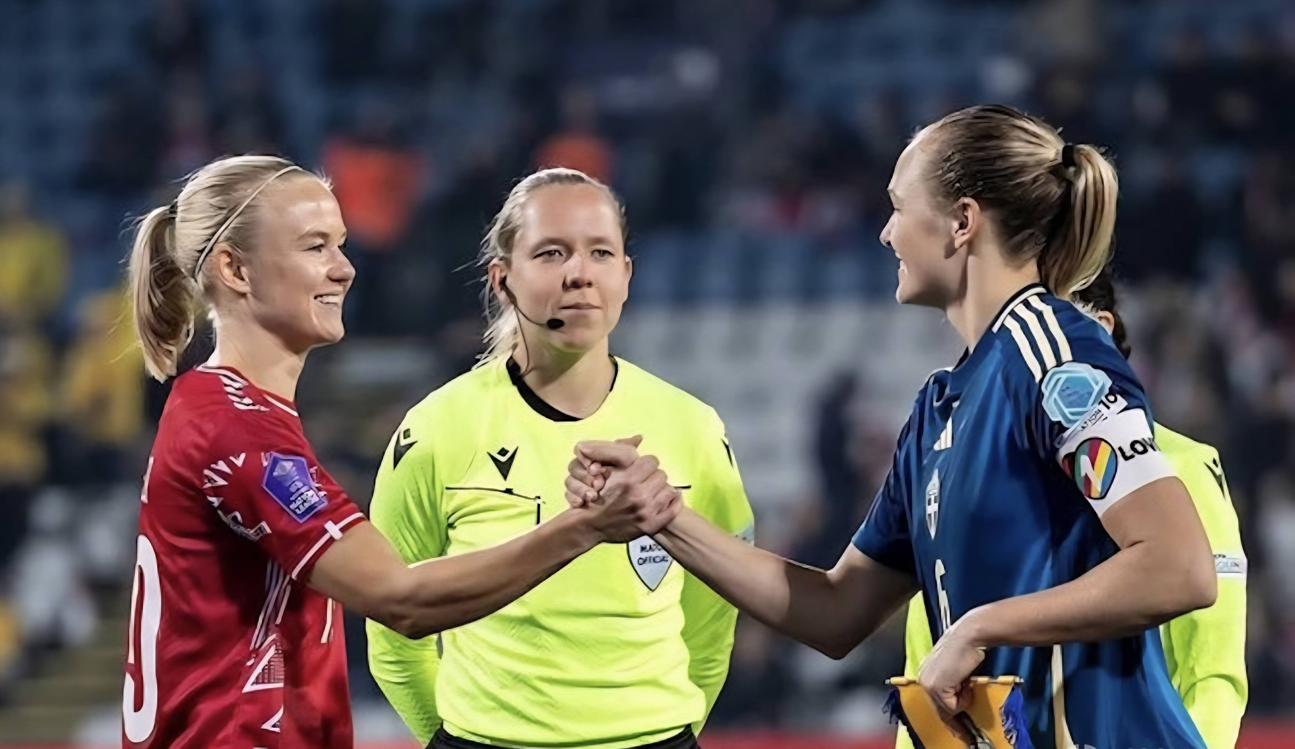 丹麦队绝杀德国队，桃田贤斗统治全场的简单介绍