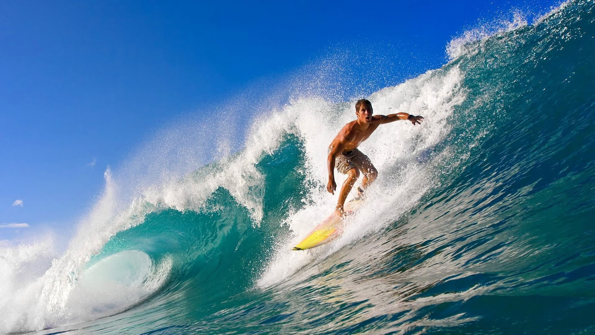 高原铁骑与不老传奇,当玻利维亚的荣耀与伊布的狂想曲在世界杯交汇